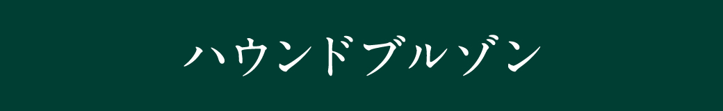 ハウンドブルゾン