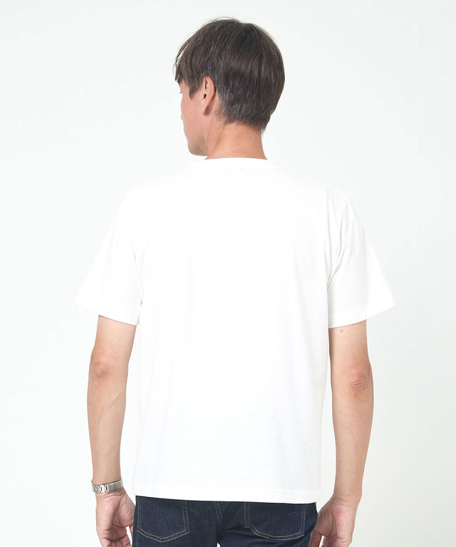 ボーダー柄 ロゴ プリントTシャツ