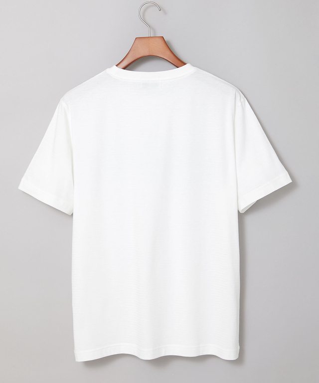 ボーダー柄 ロゴ プリントTシャツ